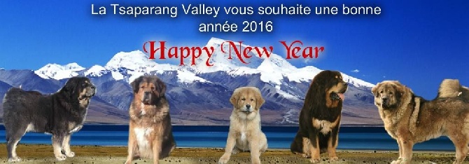 de la Tsaparang Valley - Bonne année 2016