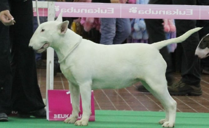 Meilleur Jeune au Championnat de France 2014