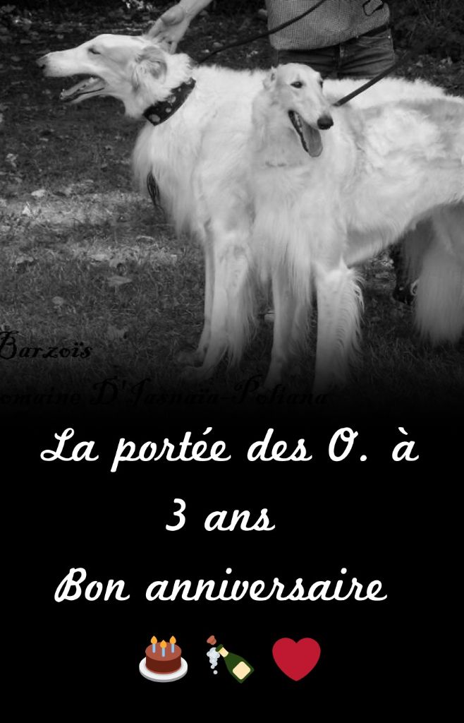 du Domaine d'Iasnaïa-Poliana - Anniversaire !