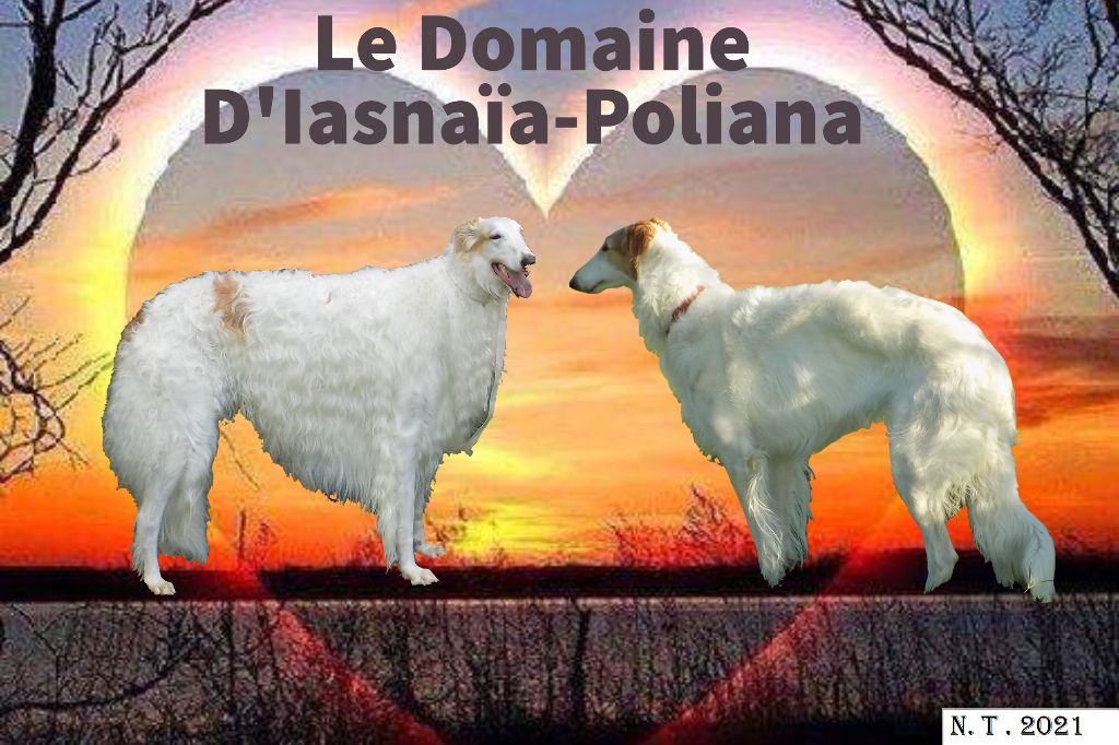 du Domaine d'Iasnaïa-Poliana - portée 2021 !