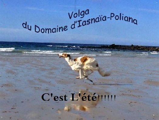 du Domaine d'Iasnaïa-Poliana - Volga !