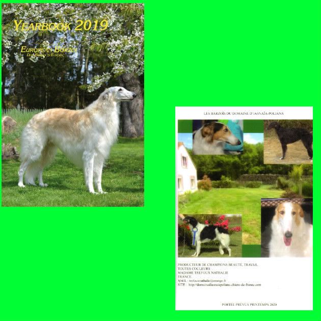 du Domaine d'Iasnaïa-Poliana - EUROPEAN BORZOI YEARBOOK 2019