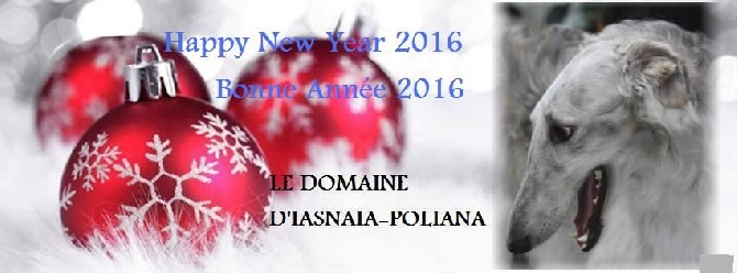 du Domaine d'Iasnaïa-Poliana - 2016 