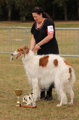 du Domaine d'Iasnaïa-Poliana - National d'elevage Orleans 2012