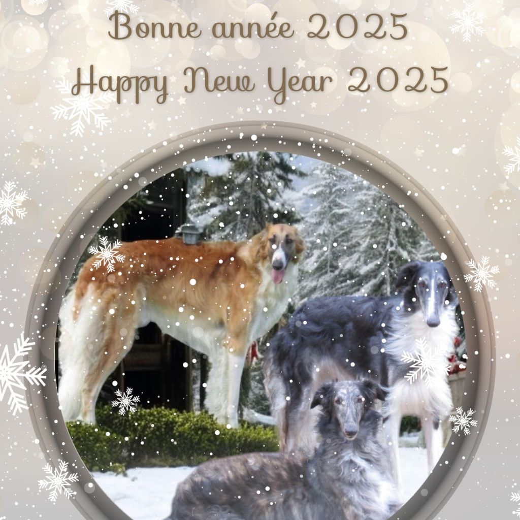 du Domaine d'Iasnaïa-Poliana - Bonne Année 2025 ! 