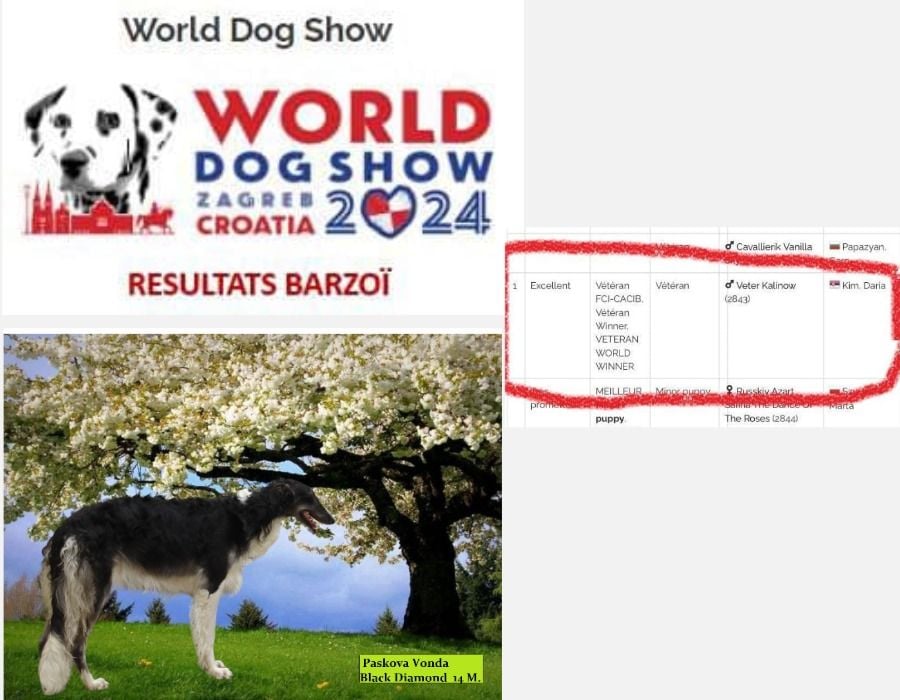 du Domaine d'Iasnaïa-Poliana - Word Dog Show Zagreb Croatia 2024 ! 