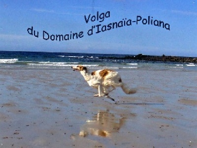 du Domaine d'Iasnaïa-Poliana - VACANCES !