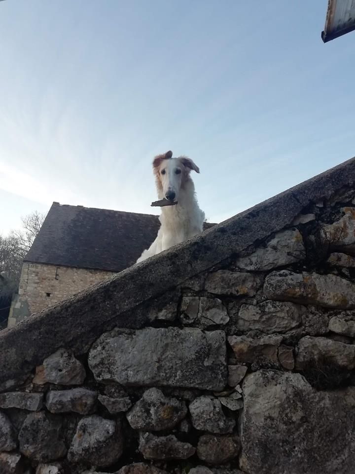 du Domaine d'Iasnaïa-Poliana - La vie de chateau !