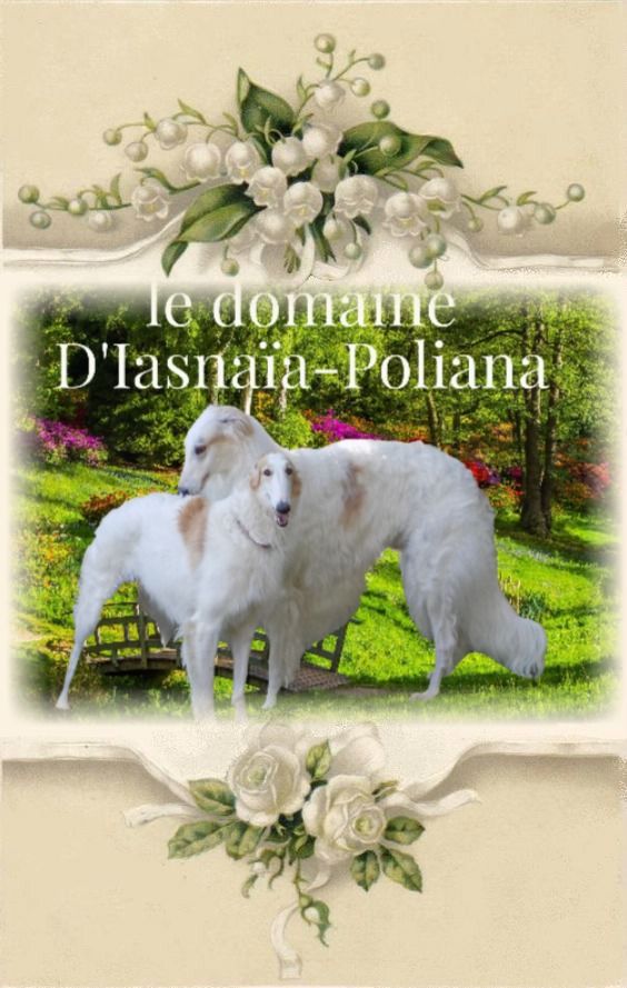 du Domaine d'Iasnaïa-Poliana - 1er Mai 2021