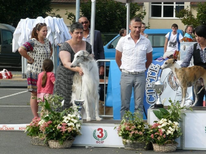 du Domaine d'Iasnaïa-Poliana - Expo de Coulommiers "77"