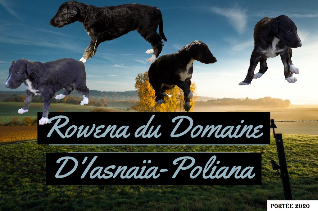 du Domaine d'Iasnaïa-Poliana - portée 2020 !