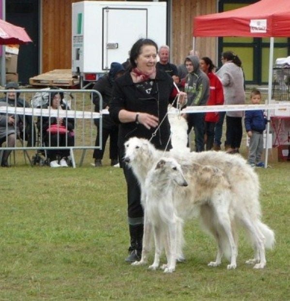 du Domaine d'Iasnaïa-Poliana - EXPOSITION CANINES DE PORT DES BARQUES "17"