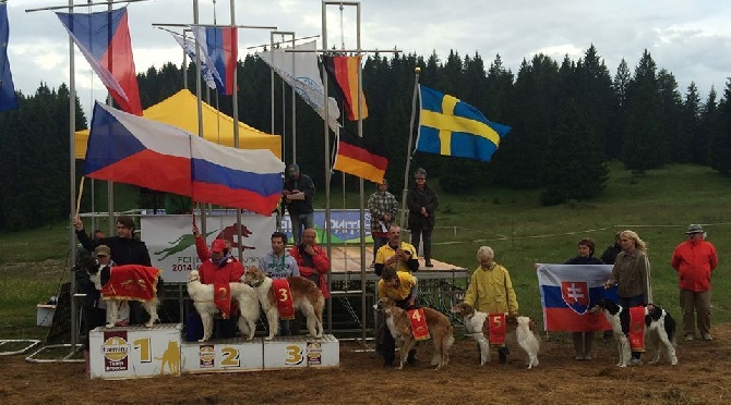 du Domaine d'Iasnaïa-Poliana - European Coursing Championship 2014 !