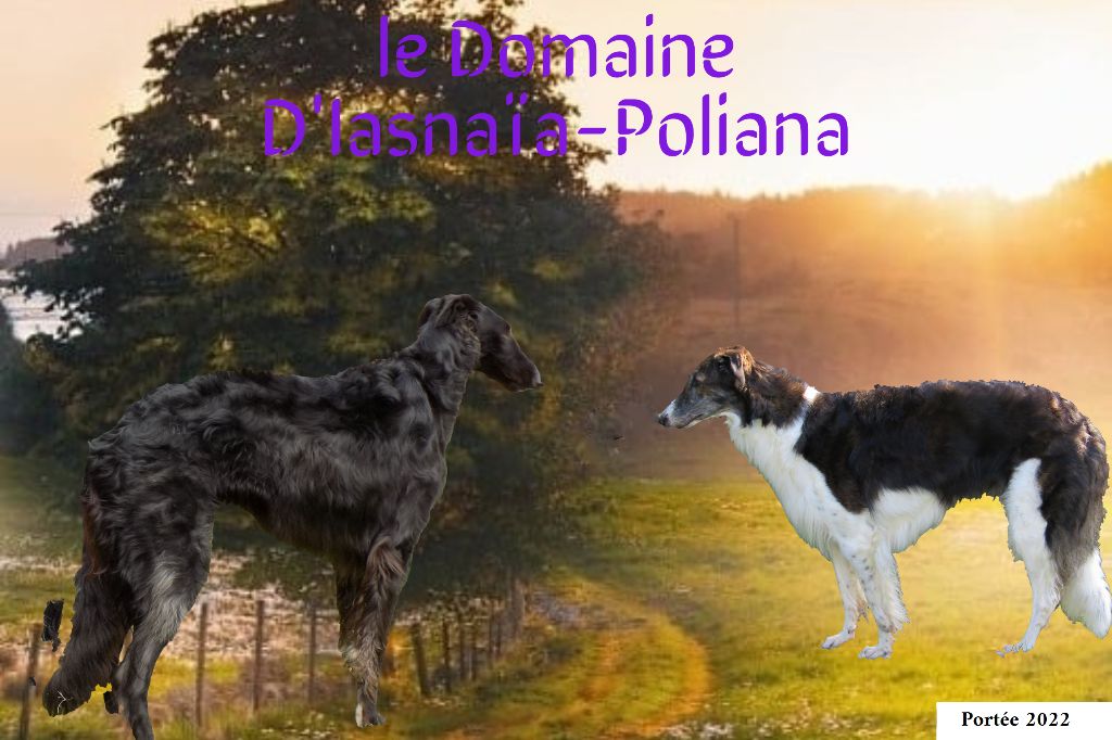 du Domaine d'Iasnaïa-Poliana - Portée 2022 !