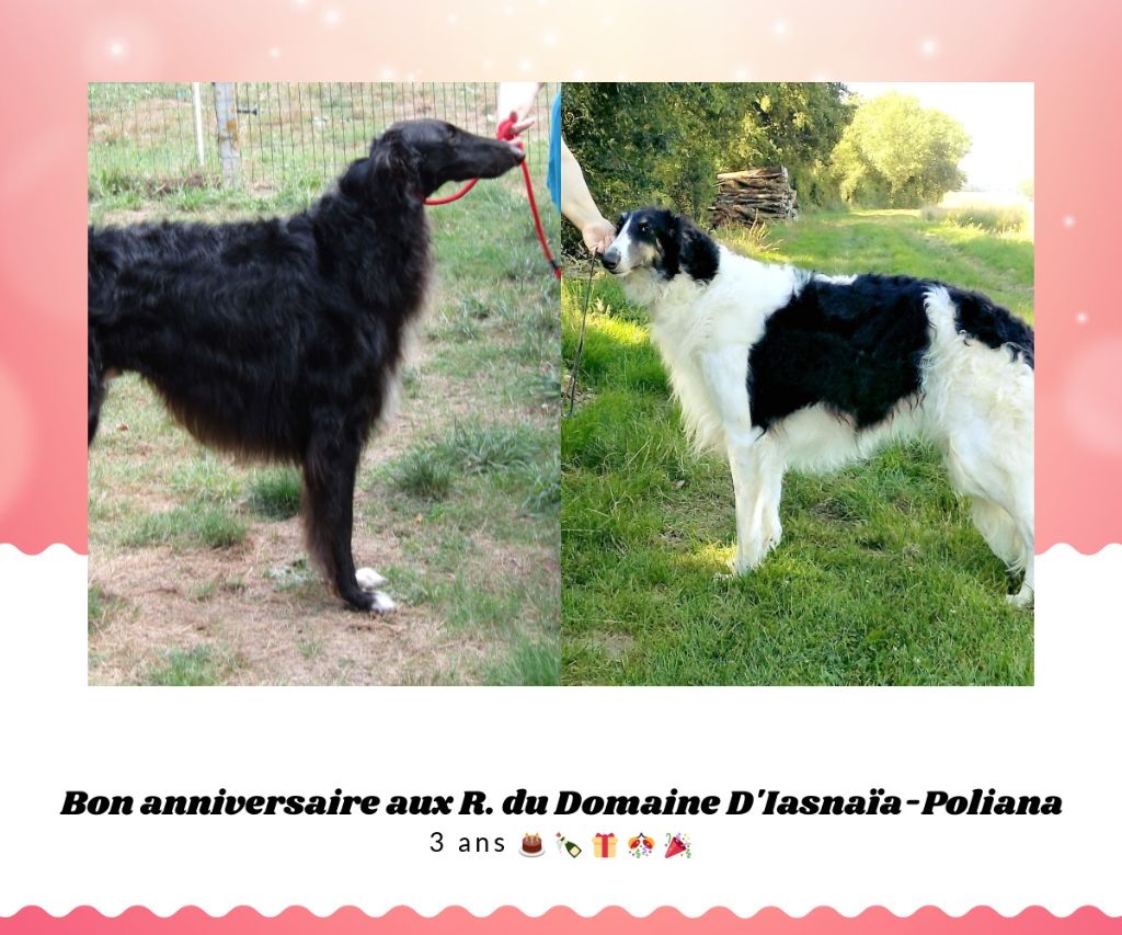 du Domaine d'Iasnaïa-Poliana - Anniversaire !