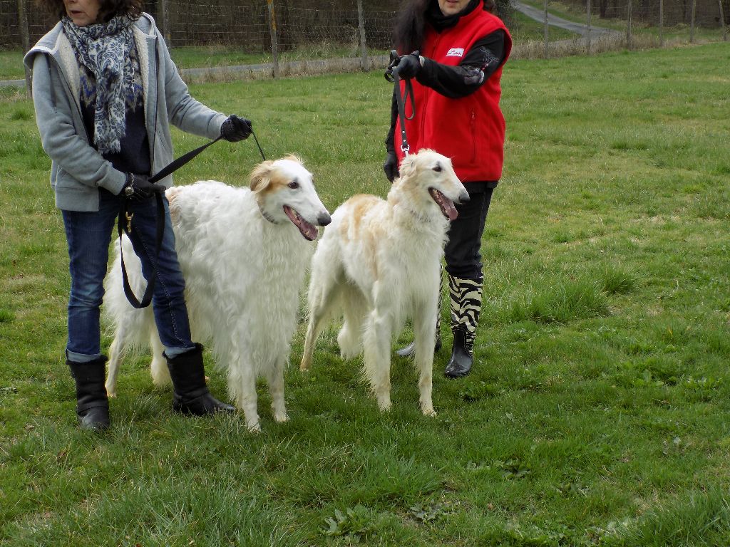 du Domaine d'Iasnaïa-Poliana - entrainement racing !