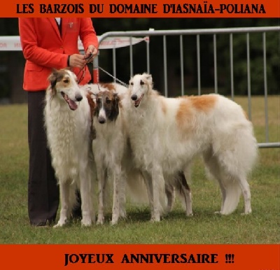 du Domaine d'Iasnaïa-Poliana - Anniversaire !!!