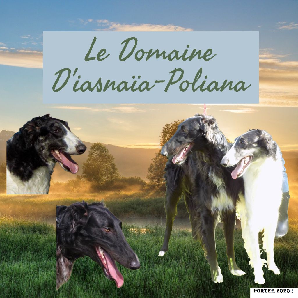 du Domaine d'Iasnaïa-Poliana - ne perdez pas patience !