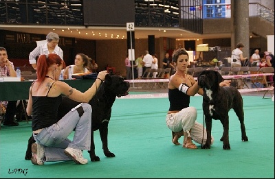 des Apollons de Garras - Championnat de France 2010 !