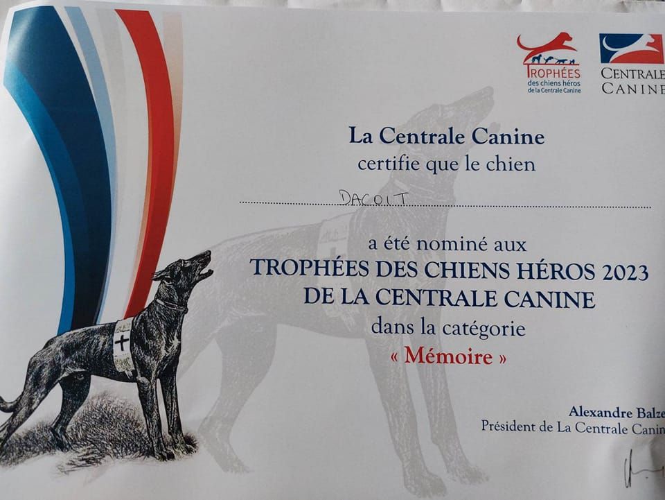 du dragon rouge de jupiter - Une fois de Plus La Team DRDJ Nominé aux Trophées des Chiens Héros SCC