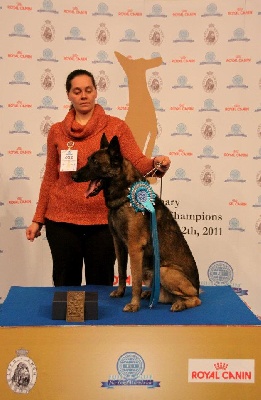 du dragon rouge de jupiter - FCI World Champion of Champions 2011