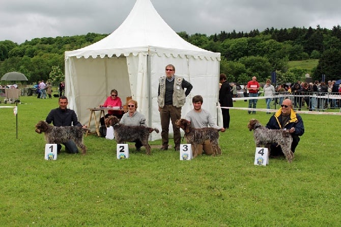 du Mont d'Ancre - Exposition canine Evreux