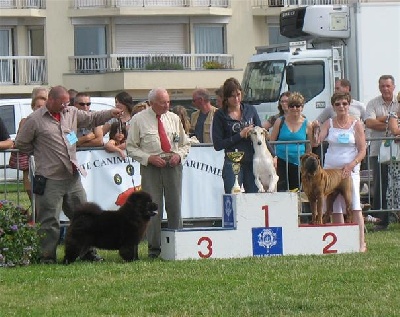 de l'ère du scorpion - 2 eme de l expo de dieppe09