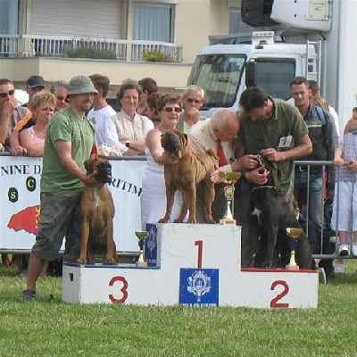 de l'ère du scorpion - meilleur jeune dieppe 09