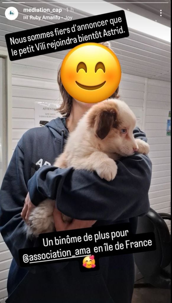 du Domaine D'Eily - vili adoptée pour chien d'assistance