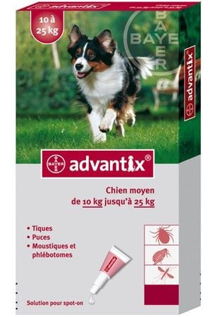 du Domaine D'Eily - Fléche fait la pub pour advantix!!