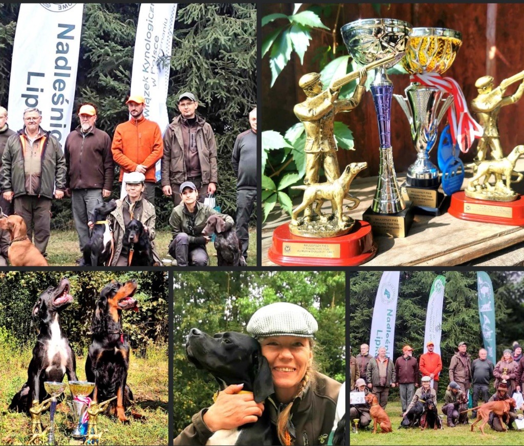 du bois de la Hulaine - Reyno champion de travail 