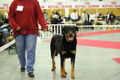 de la Chantrerie - Résultat Anakyn au Paris Dog Show