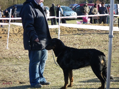 de la Chantrerie - JB Cergy 2011