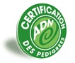 de Can Bourbon - Certification ADN