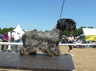 Des hauteurs de la sole - Evreux 2011