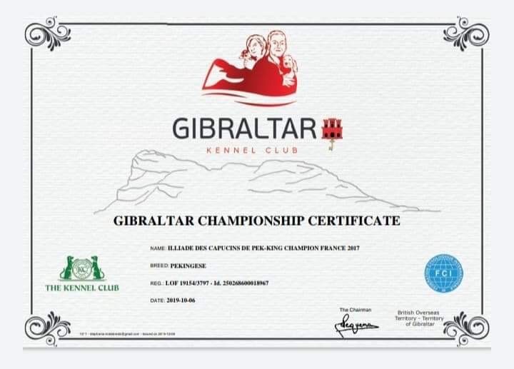 INTERNATIONAL DOG SHOW GIBRALTAR 2019