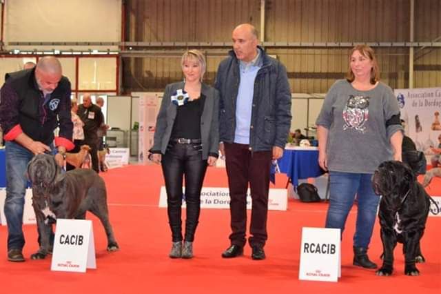 Expo Périgueux mars 2019 N.E du CMN et Speciale de Race