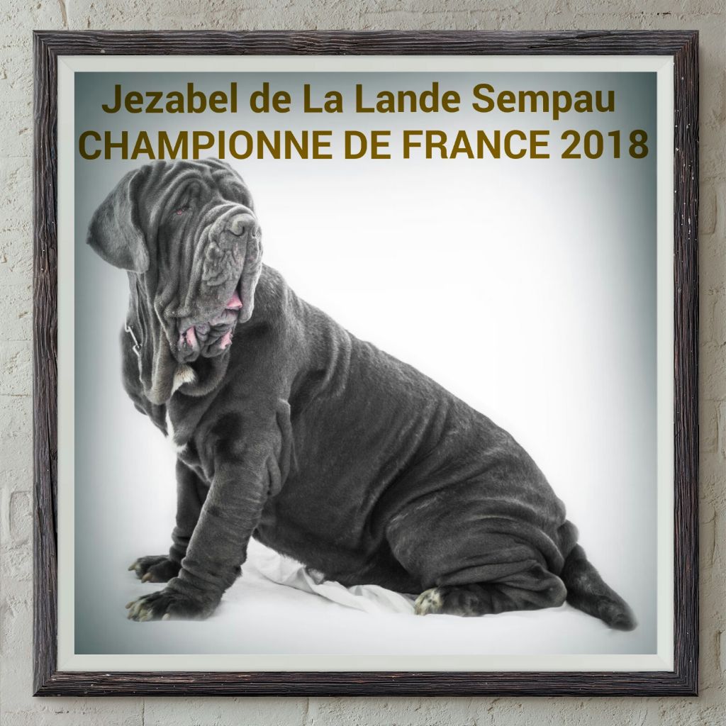 Jezabel championne de France