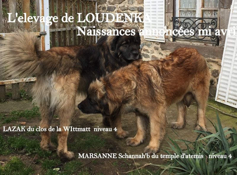 de Loudenka - Naissances annoncees