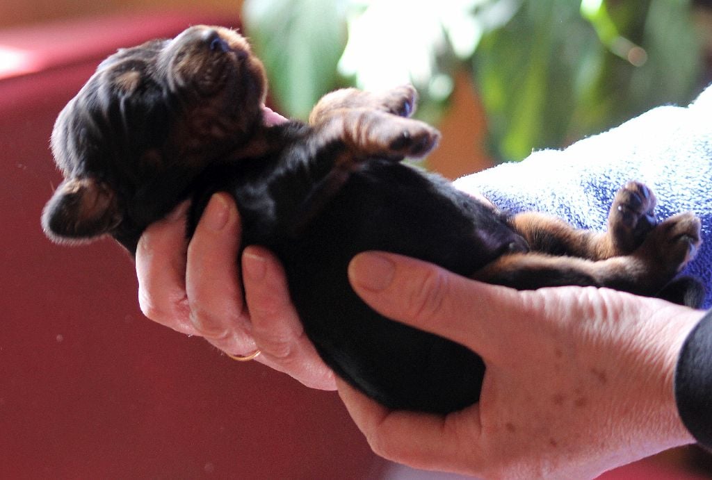 NAISSANCE EN TOURAINE