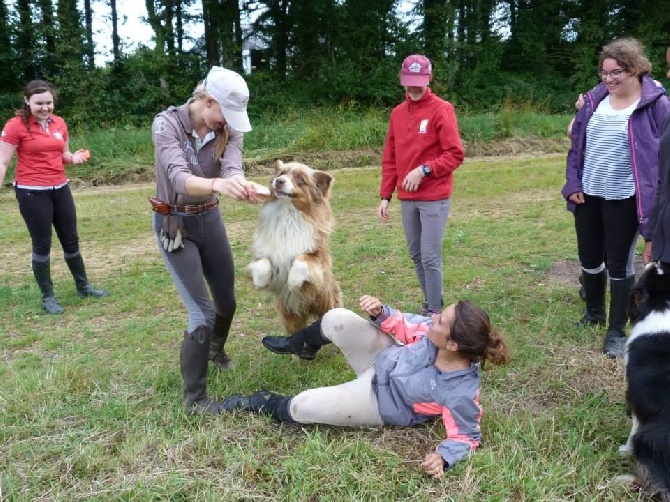 del Ranch de los Desperados - c'khoda fait son show avec les cavalières !