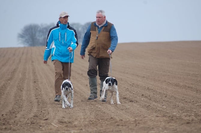 FIELD TRIAL PRINTEMPS 2015