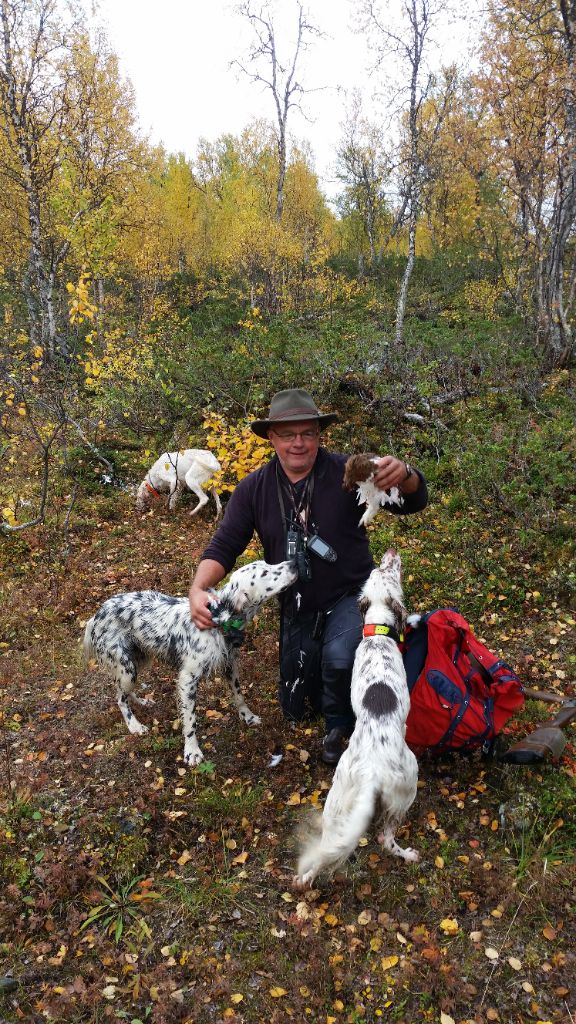 des pics luchonnais - ENTRAINEMENT ET CHASSE EN LAPONIE