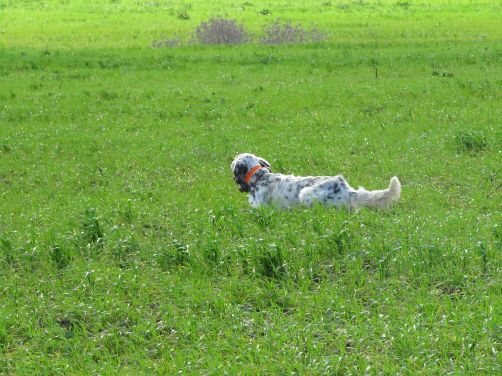 STAGE D'ENTRAÎNEMENT EN SERBIE