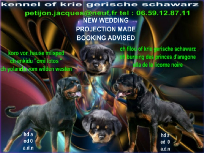 of Krie Gerische Schawarz - prochaine porteé 2014