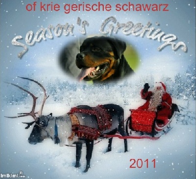 of Krie Gerische Schawarz - BONNE ET HEUREUSE ANNEE 2011