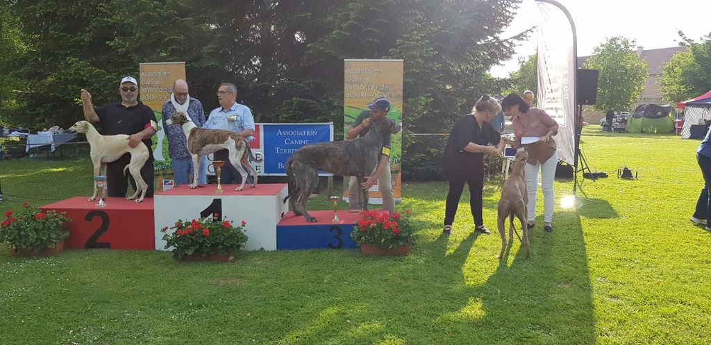 de la Bérondière - Exposition Nationale Saint Ambreuil 6 mai 2018