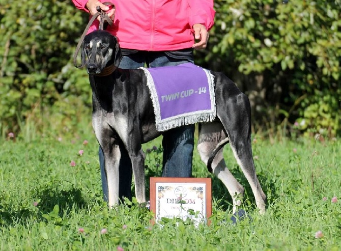 de la Bérondière - Coursing Viron Estonie 31/08/2014