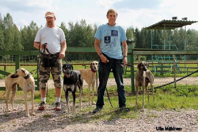 de la Bérondière - Coursing  Hyvinkaa Finlande 02/08/2014