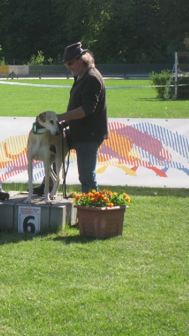 de la Bérondière - International Coursing Hünstetten 3.5.2014